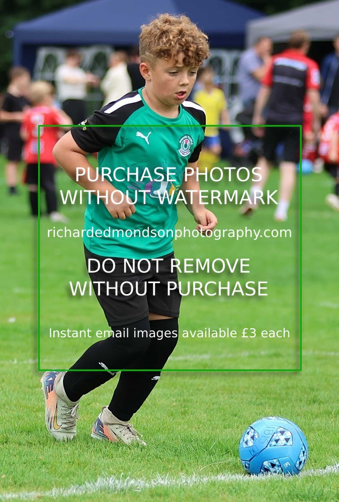 533A7948 - Burton Thistle