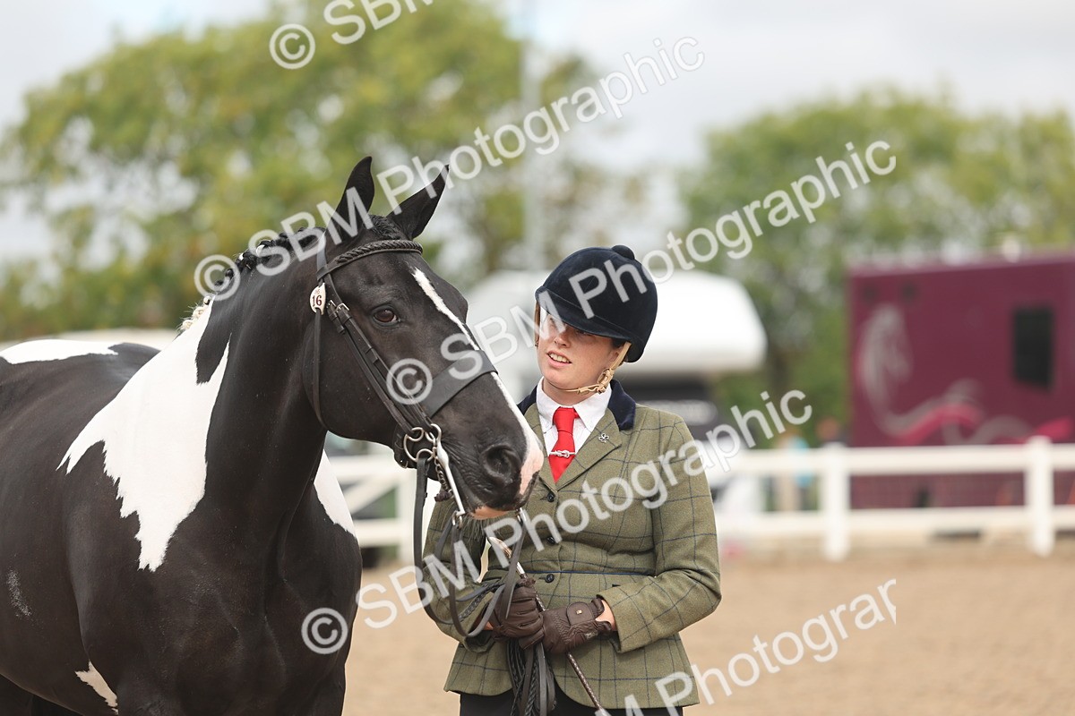 SBM_02097 - Class 15 - IH Coloured