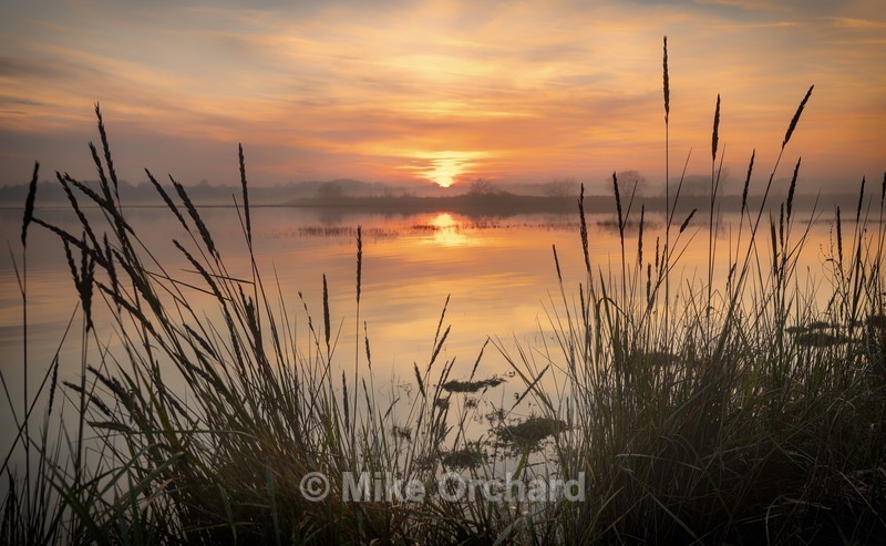 Levington Orwell Sunset - Landscapes