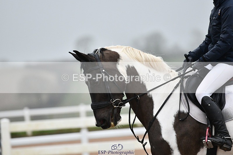 260222-103257-02846 - Class 0 + 15 CR British novice + 90cm