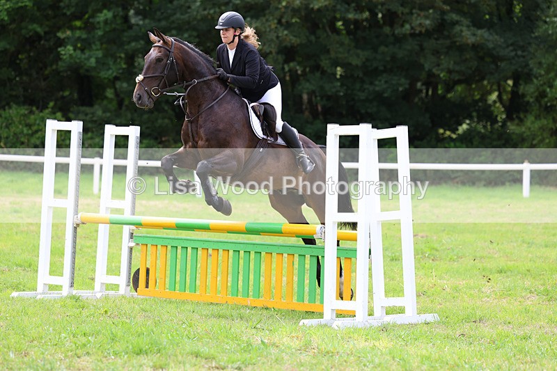 3E7A6928 - Class 5: Senior British Novice/90cm open