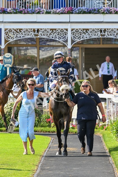 130625-Race 7-Dawn Of Liberation-0250 - Race 7 5.20pm Irish Thoroughbred Marketing Handicap