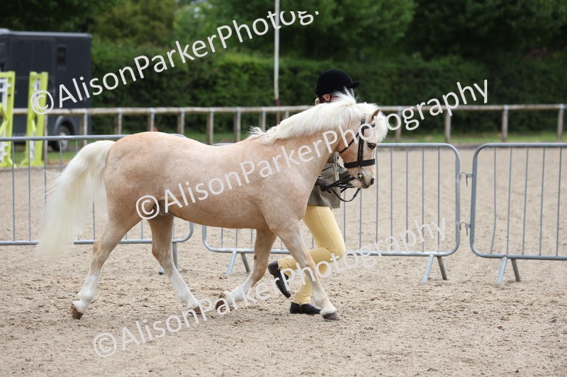 20250524-0086 - Class 1 - Best Condition