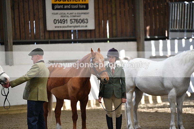 WJ5_3540 - Class 5 In Hand Veterans