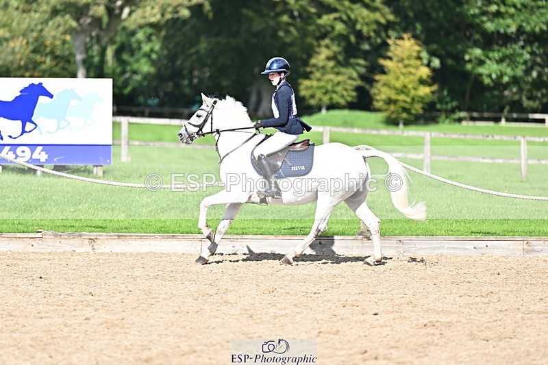 251005A-140357-04266 - Cls 09 Nov 80-85cm