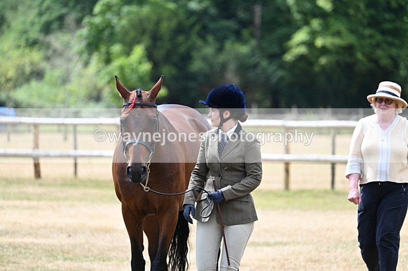 WJ7_2106 - Prettiest Mare Champs
