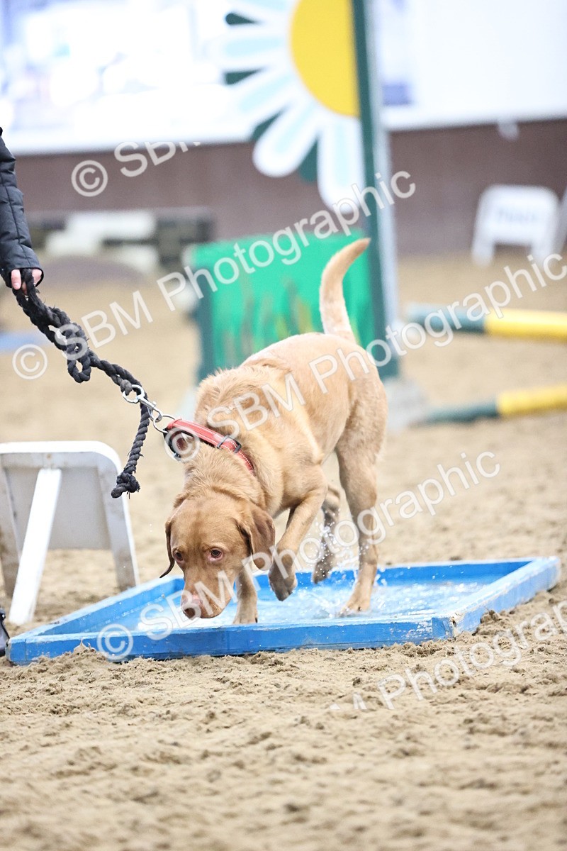 SBM_001311 - Class 3 - Horse & Hound 60cm