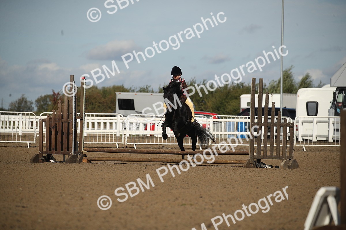 SBM_12686 - Class 504a - Junior Working Veterans - 40cm (15-19)