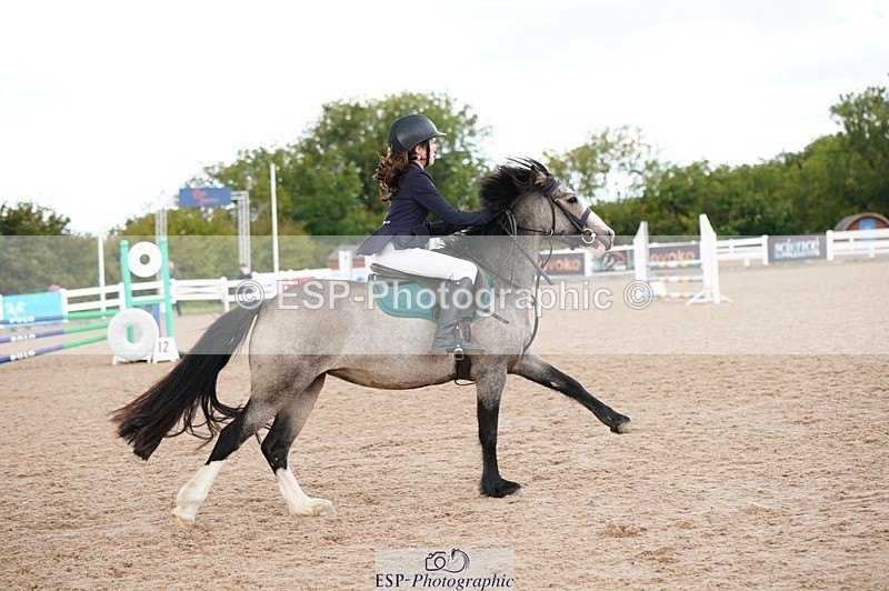 250921-153734-04144 - Cls 31 Stepping Stones