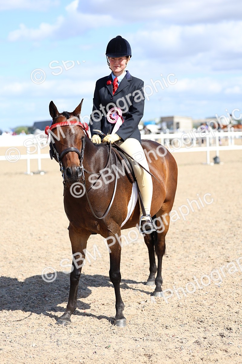 SBM_13352 - Class 311 - Ridden Show Pony Show Hunter Pony