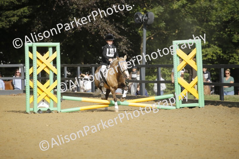 20250622-1182 - 40cm