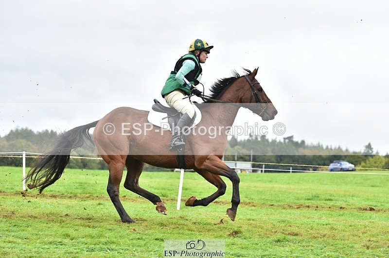 231021-115204-15913 - 433-WILLIAM-Laura.Sharpe-SC+XC