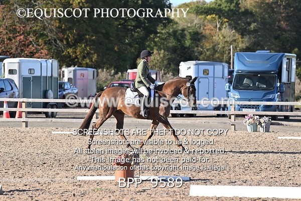 BPP_9589 - SHORT ARENA