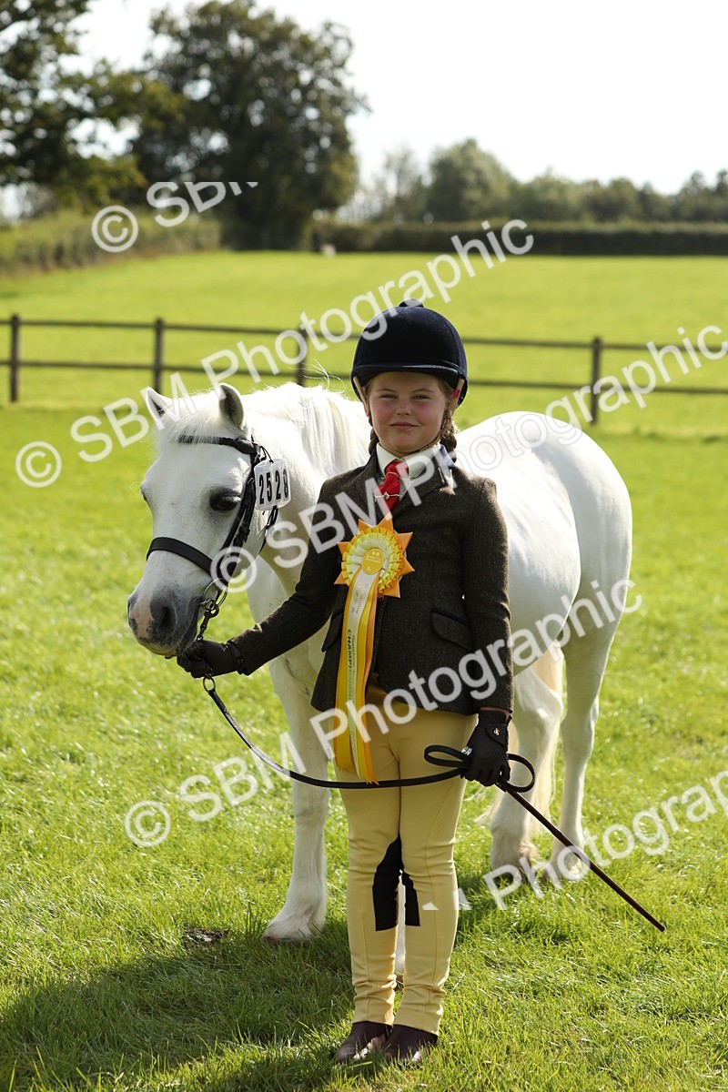 SBM_67857 - S39 - Junior Handler 8  Years & Under