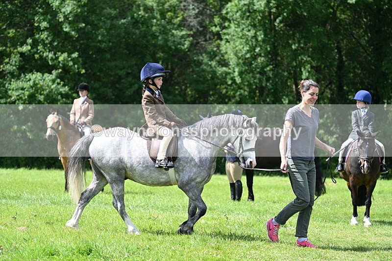 WJ7_1505 - Class 11 Condition & Turnout