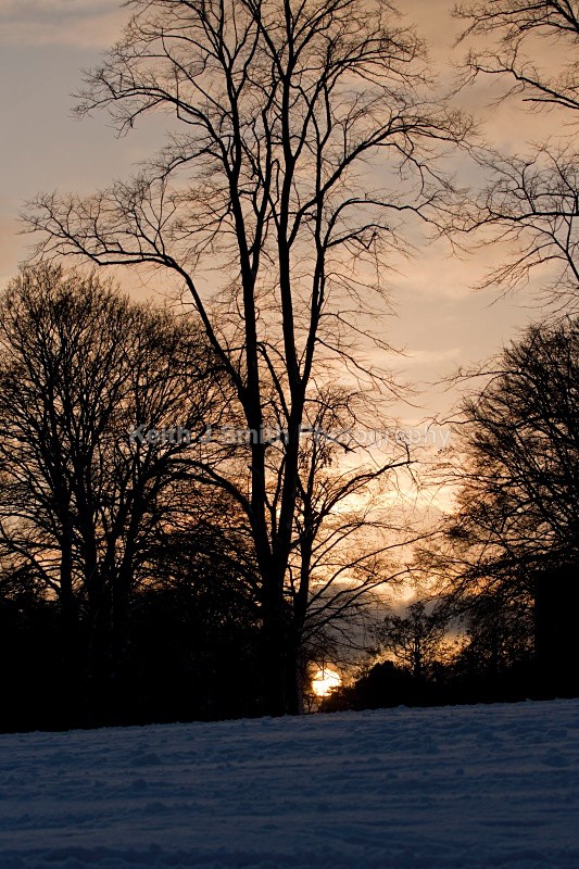 KJS_5455 - Abington Park & Northampton Town.