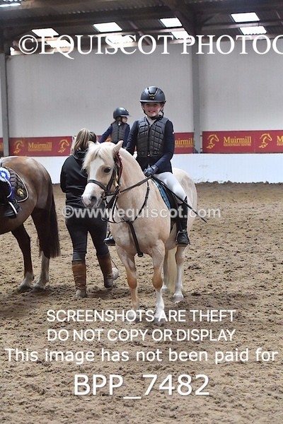 BPP_7482 - 40CM WORKING HUNTER