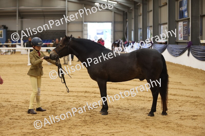 20260913-0121 - Class 121 - Young Handler 5-16