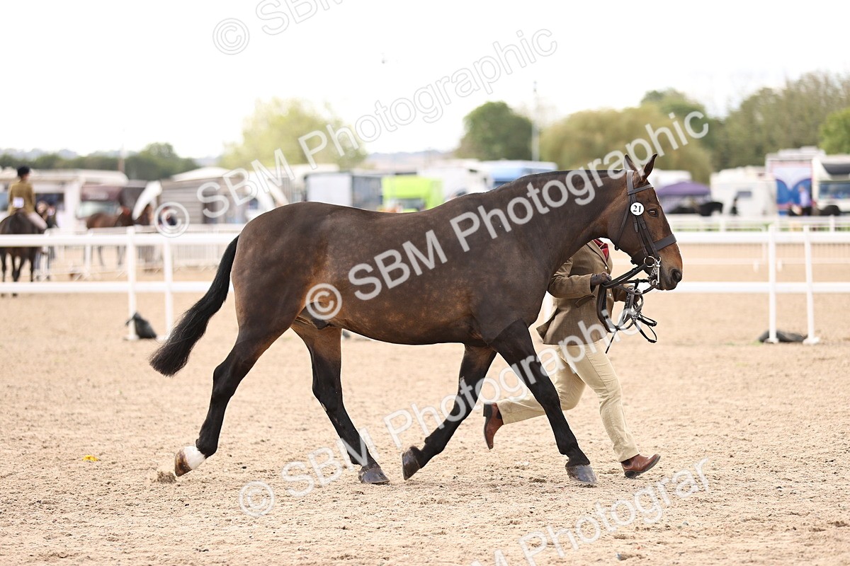 SBM_10375