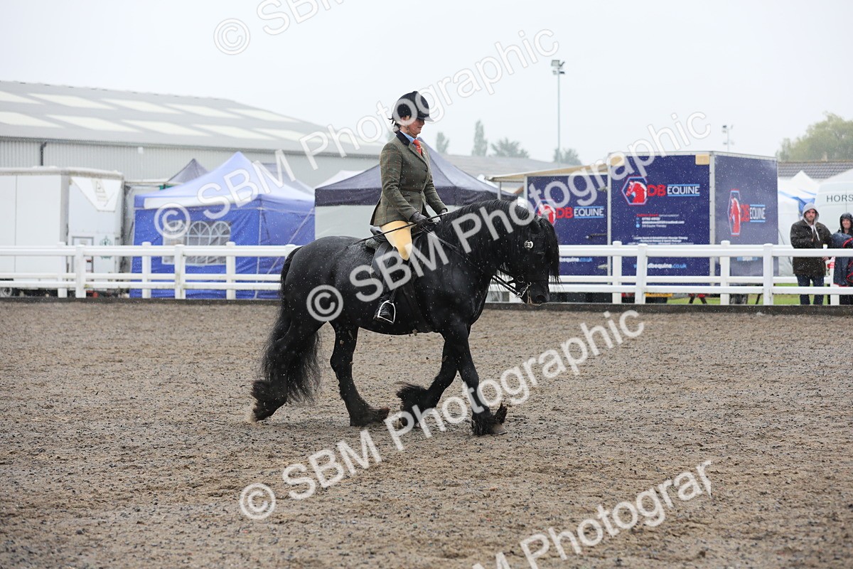 SBM_20578 - Class 804 - Ridden Veteran Pony