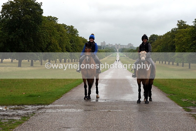 TT3_8170 - Time at Crossing 09:15 to 10:15