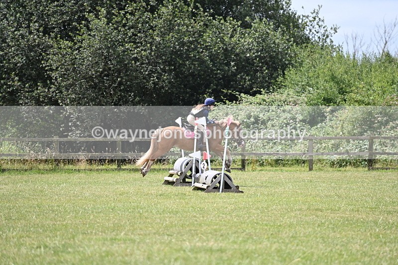 WJ6_6842 - 80cm XC Pairs