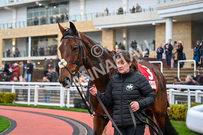 131224-Race 6-Fakir DOudairies-9908 - Race 6