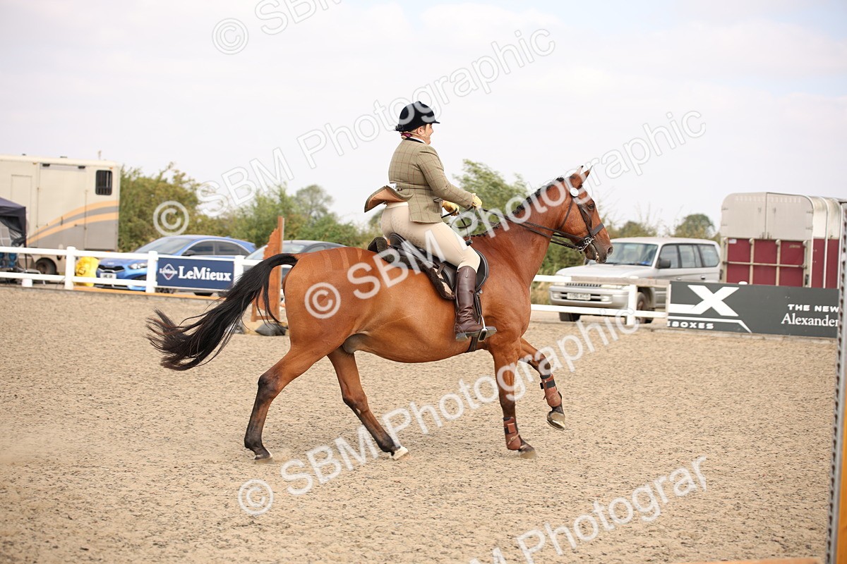 SBM_12896 - Class 406a - Working Veteran 50cm (15-19)