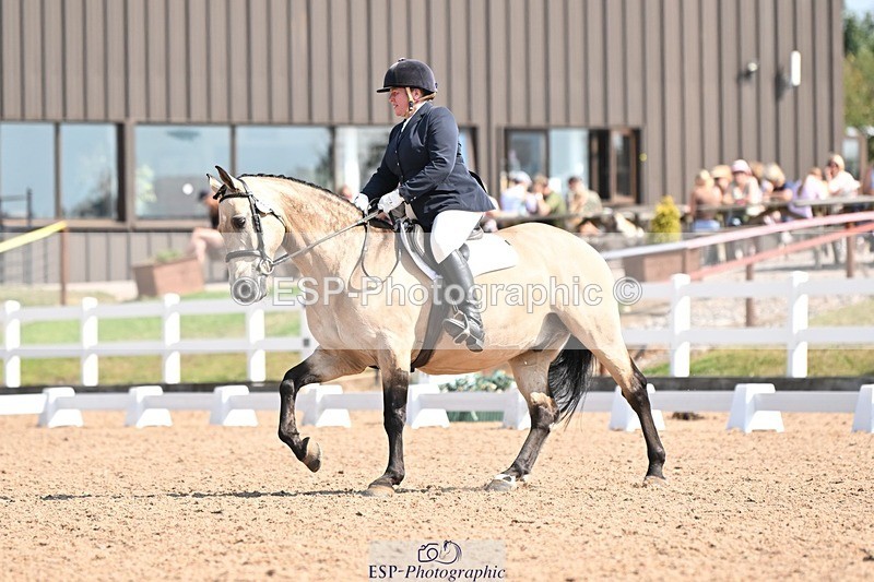 250816-111145-03543 - 082-Sarah.DavisWinston.Classic.Gold