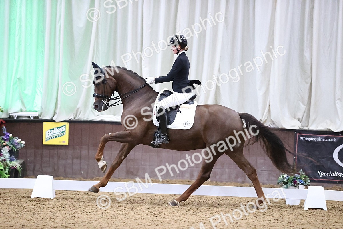 SBM_008998 - Class 15 - FEI Junior Pony Team-YR-COH