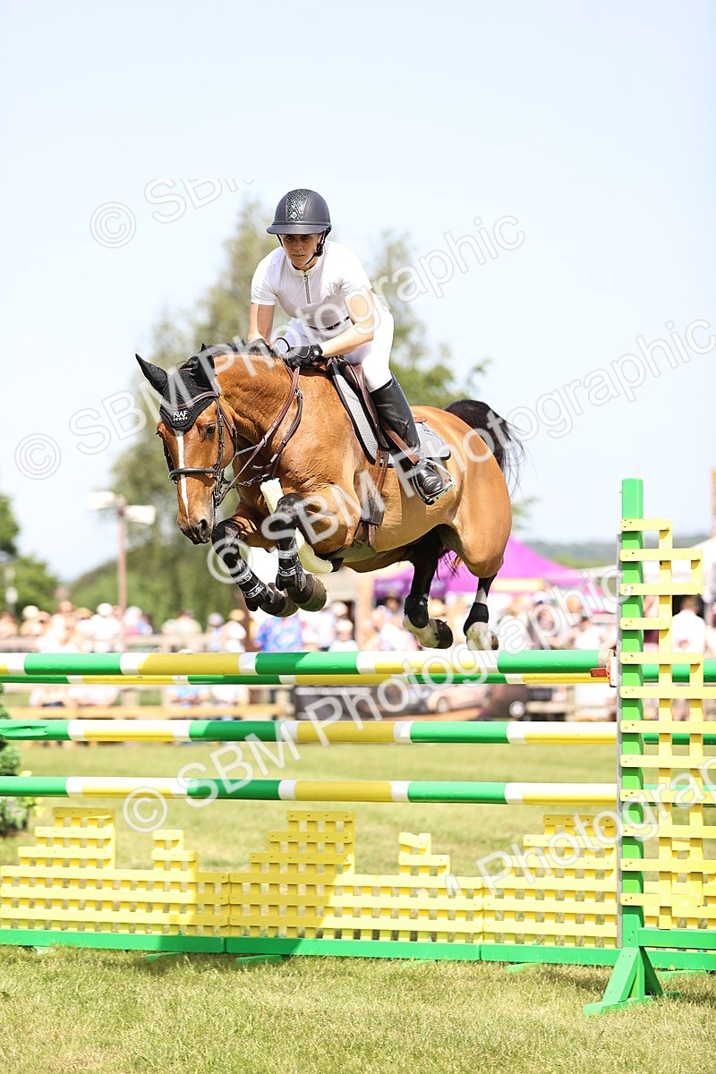 SBM_03954 - Class 201 - British Horse Feedds Speedi Beet HOYS Grade C