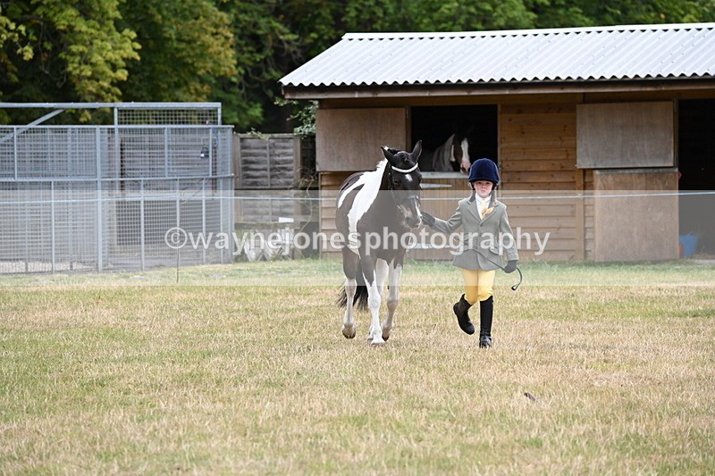 WJ6_4328 - Class 10 Coloured In-hand