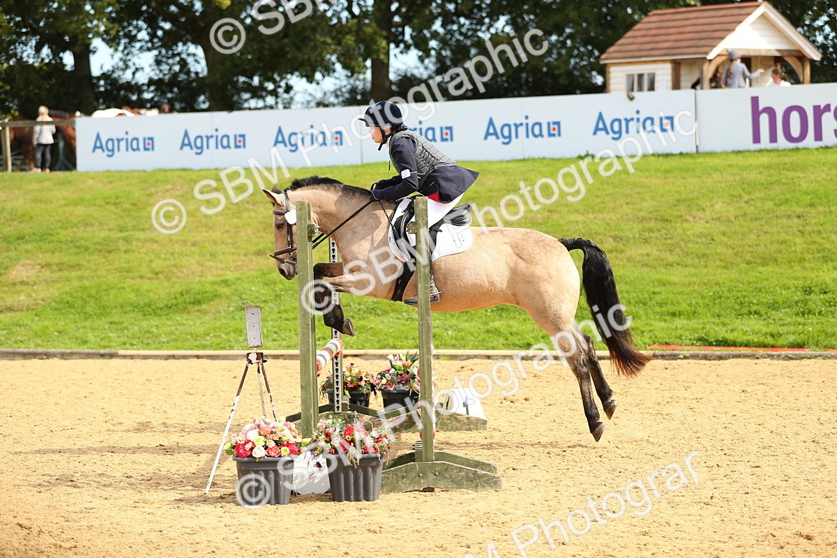 SBM_67250 - J17 - Junior Pony 80cm Championship