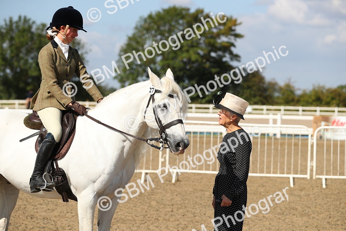 SBM_03171 - Class 44 Riding Club Horse/ Pony