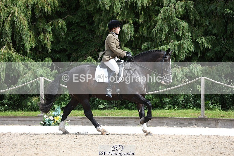 230812-134403-04302 - Cls 5 Novice Bronze 13.40 to 14.45 break