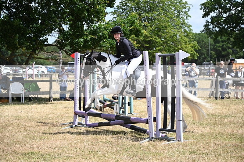 WJ6_5445 - Class 12 Minimus Jumping 45cm