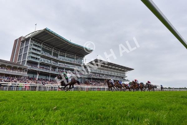 250524-Race 3-Starlust-6837 - Race 3 2.45pm William Hill Extra Place Races Daily Handicap