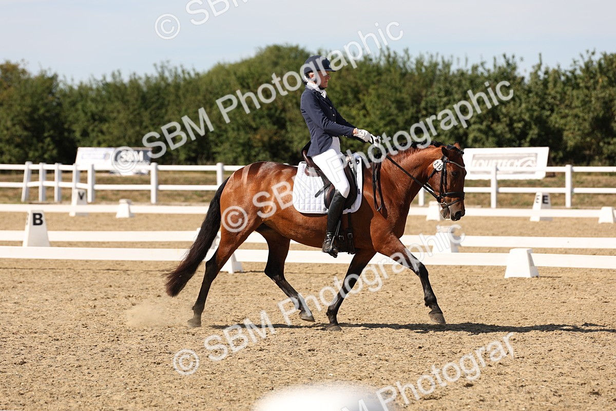 SBM_003826 - Elementary 4