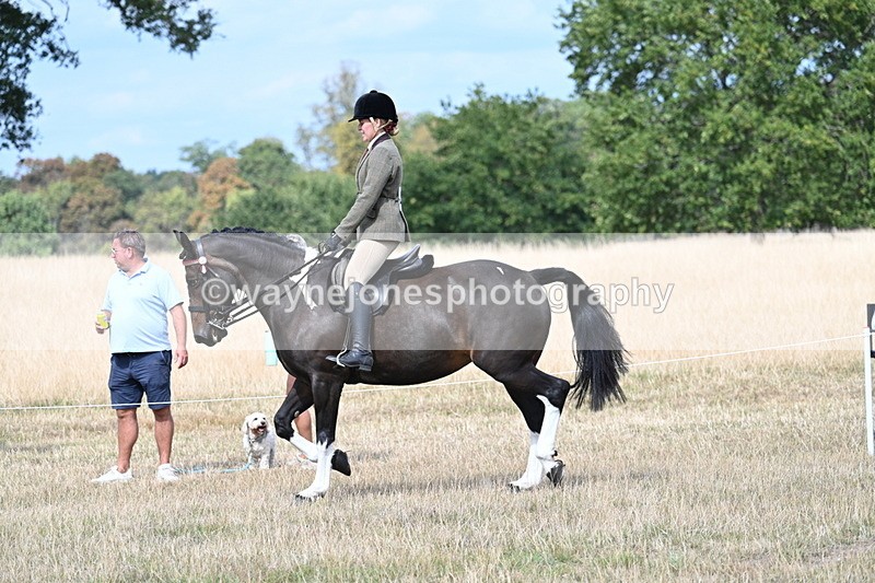 WJ7_5849 - Class 13 Ridden Veterans