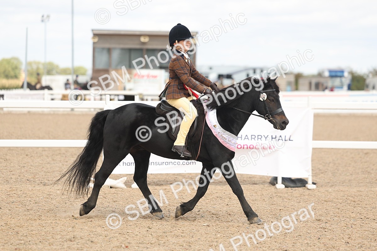 SBM_15944 - Class 310 - First Ridden Pony