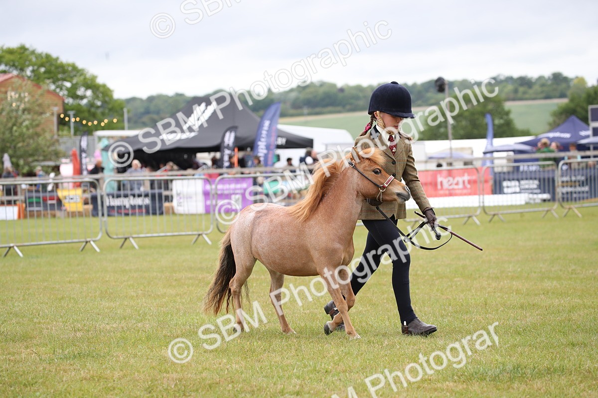 SBM_03534 - Class 23-25 - British Miniature Horse of the Year