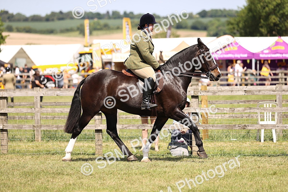 SBM_17825 - Class 81-83 - TSR Ridden Amateur of the Year - Horses