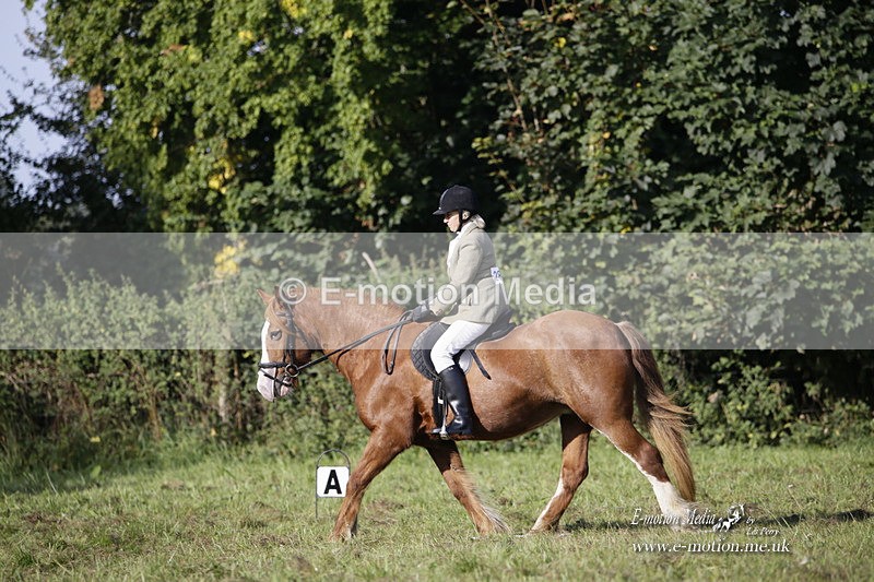 BVRC 120921 43 - Bourne Valley Riding Club UA Dressage & Show Jumping 12/09/21