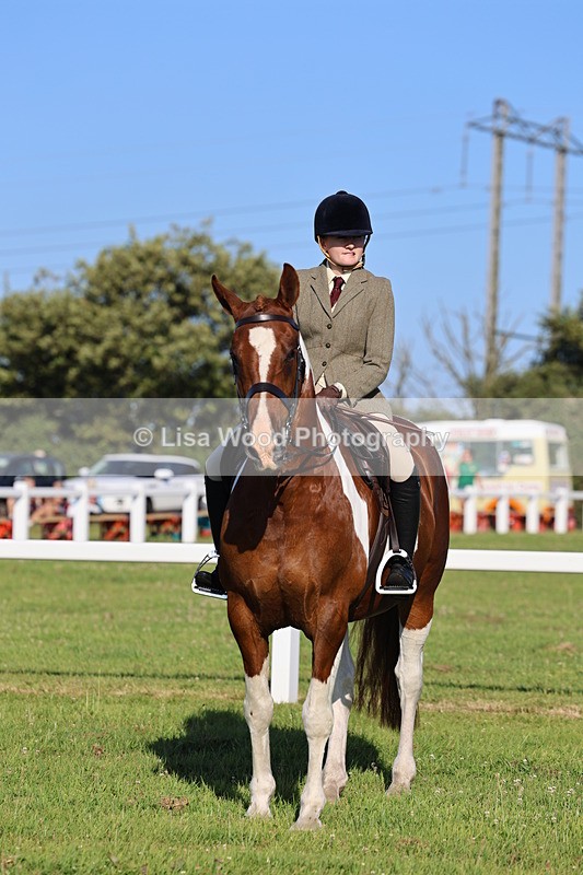 IMG_1251 - Class 27: Ridden Plaited Coloured Horse