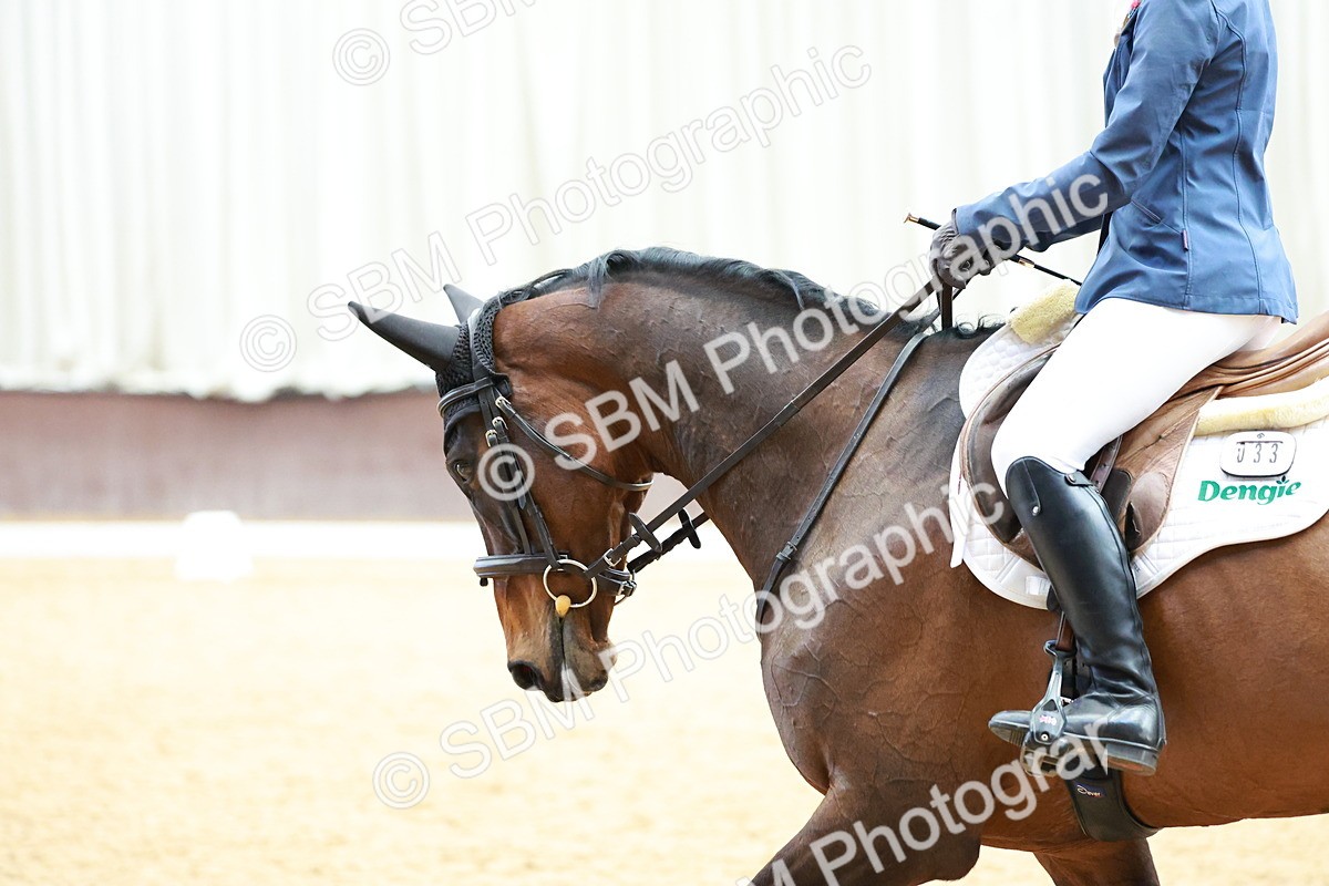 SBM_002339 - Class 6 CT Novice 3