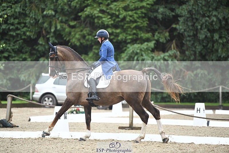240720-143522-05697 - 142-Amberley_Pugsley-Hero_A