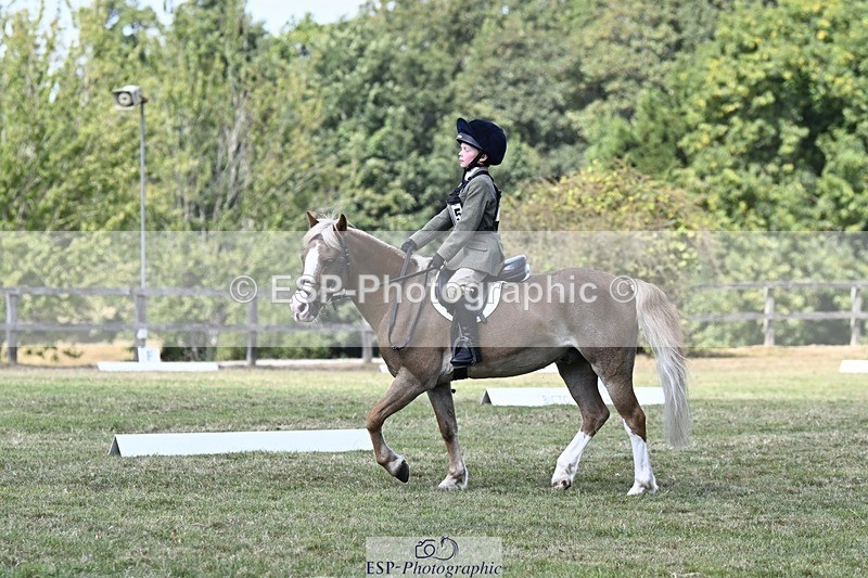 250822A-124856-21916 - DR 12.00 to End