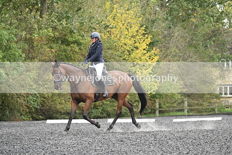 WJ7_6163 - Time 14:10 to 14:45