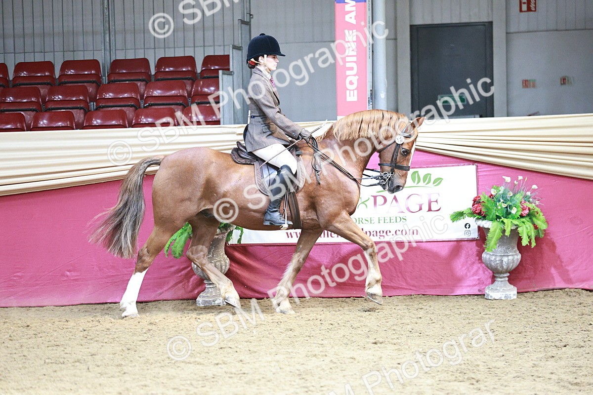 SBM_06991 - Class 10R - Regional Ridden Diamond