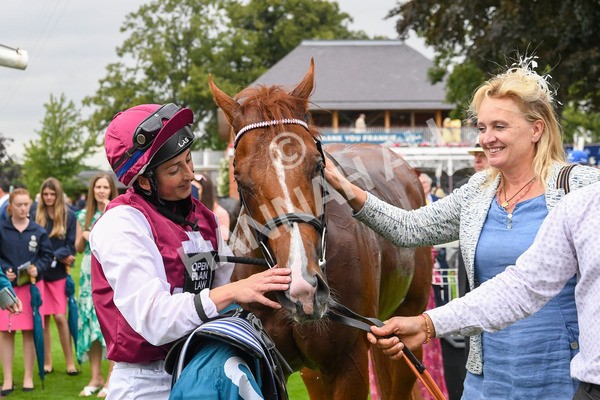 230823-Race 7-Zoulu Chief-1041 - Race 7 5.20pm Sky Bet Nursery Handicap